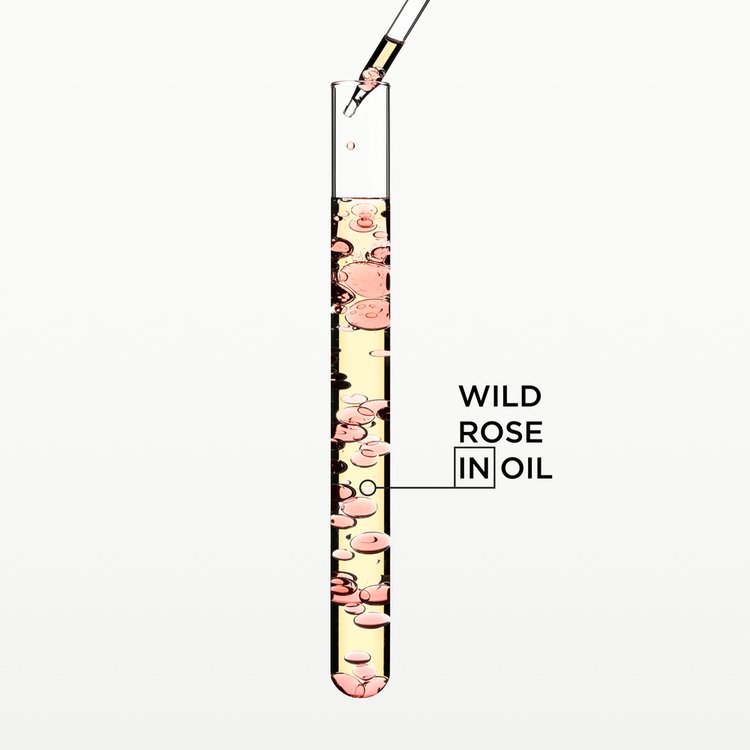 Ingredients Wild Rose